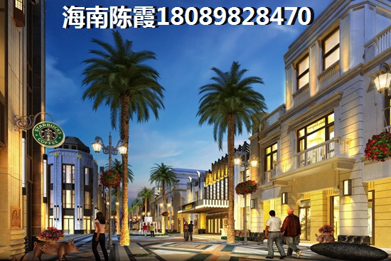 乐东龙栖湾的房价最新20222